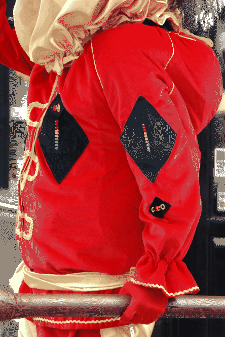 \includegraphics[width=0.8\textwidth]{images/10_punchjacket.eps}